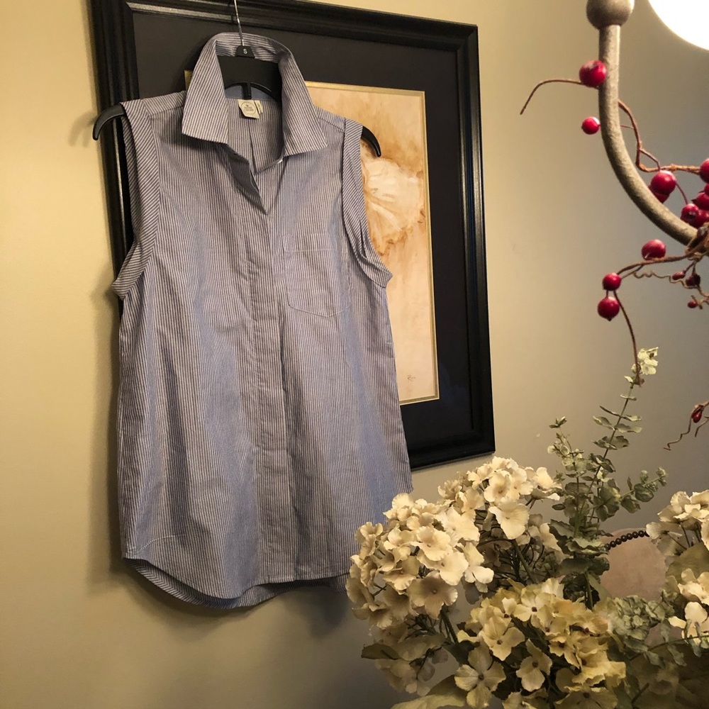 - Paper Crane blue pinstripe sleeveless blouse sz M